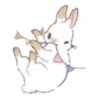 Стикер 43 🐰Rabbit and food