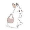 Стикер 35 🐰Rabbit and food