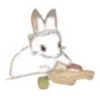 Стикер 29 🐰Rabbit and food