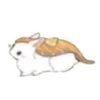Стикер 22 🐰Rabbit and food