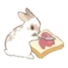Стикер 49 🐰Rabbit and food