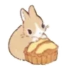 Стикер 11 🐰Rabbit and food