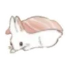 Стикер 19 🐰Rabbit and food