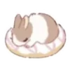 Стикер 59 🐰Rabbit and food