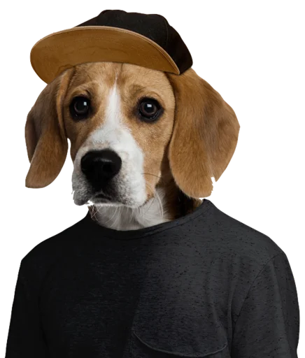 🤠 Стикер «beagle-1» для Telegram
