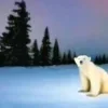 Стикер 10 Медведь из 2026