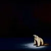 Стикер 3 Медведь из 2026