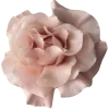 Стикер 8 Beauty Amp Aesthetic