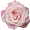 Стикер 16 Beauty Amp Aesthetic