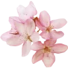 Стикер 2 Beauty Amp Aesthetic