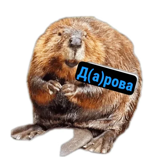 Стикерпак Бобры Милашки для Telegram