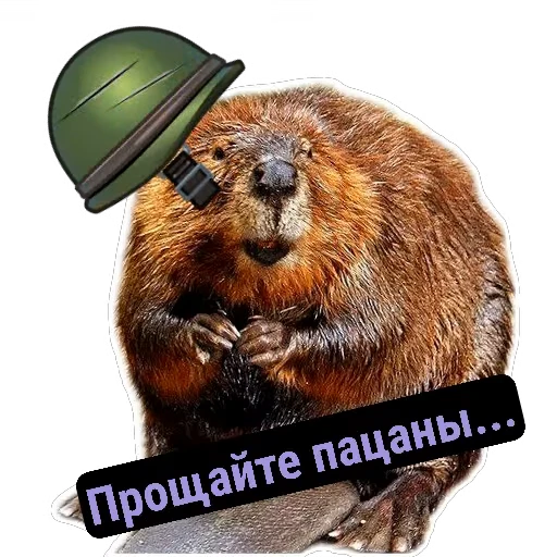 🪖 Стикер «Бобры Милашки» для Telegram