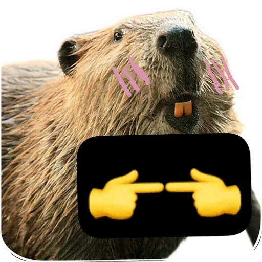 🦫 Стикер «Бобры Милашки» для Telegram