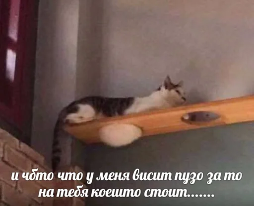 😋 Стикер «(∪.∪ )...zzz» для Telegram