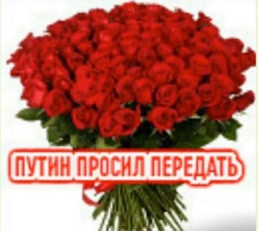 🌹 Стикер «(∪.∪ )...zzz» для Telegram