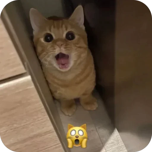 🫥 Стикер «bebe 3859» для Telegram