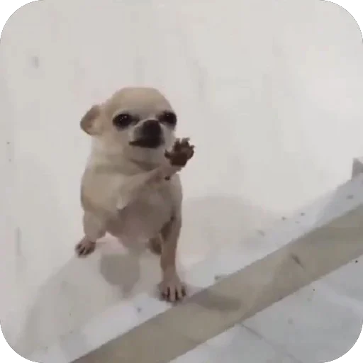 🫥 Стикер «bebe 3859» для Telegram