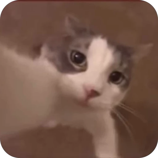 💋 Стикер «bebe 3859» для Telegram