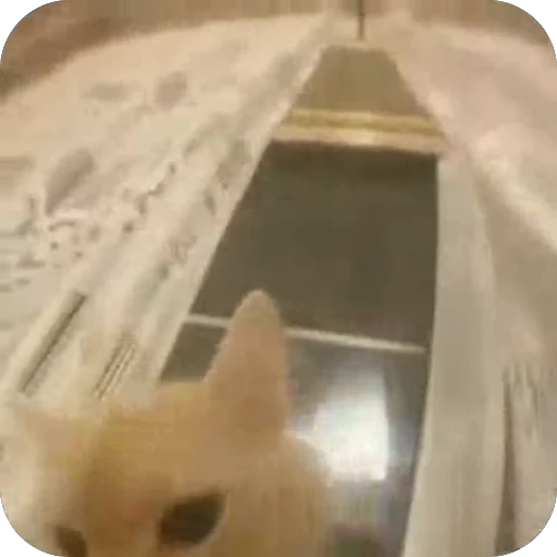 🤨 Стикер «bebe 3859» для Telegram