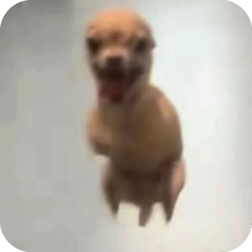 🫥 Стикер «bebe 3859» для Telegram