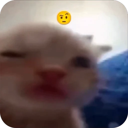 🤩 Стикер «bebe 3859» для Telegram