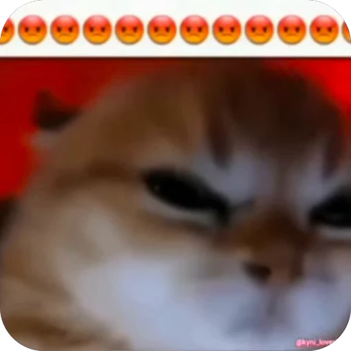 😡 Стикер «bebe 3859» для Telegram
