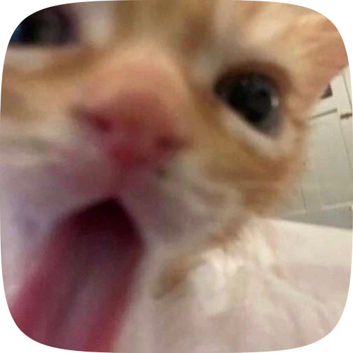 😛 Стикер «bebe 3859» для Telegram