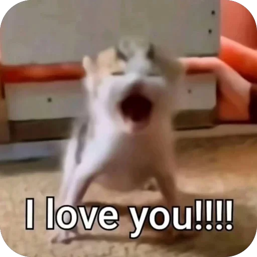 🫥 Стикер «bebe 3859» для Telegram
