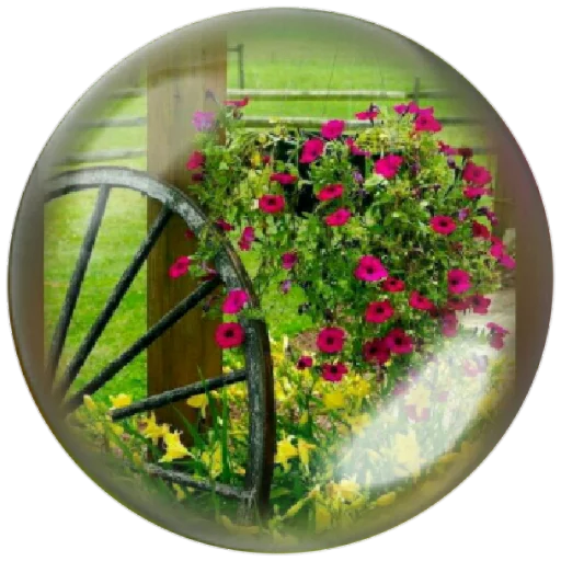🌺 Стикер «autumnpoet» для Telegram