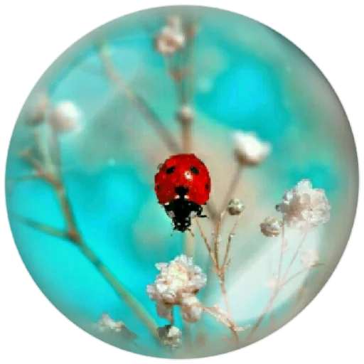 🐝 Стикер «autumnpoet» для Telegram