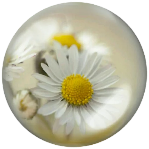 🌼 Стикер «autumnpoet» для Telegram