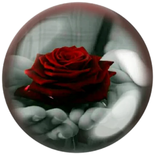 🌺 Стикер «autumnpoet» для Telegram