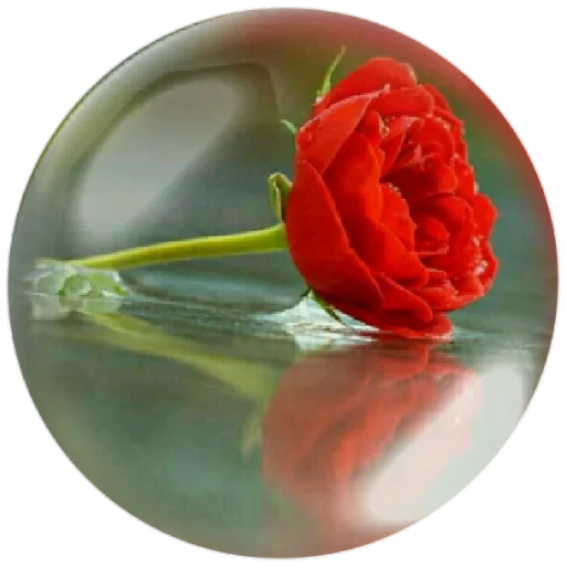 🌺 Стикер «autumnpoet» для Telegram