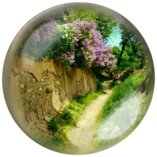 🌳 Стикер «autumnpoet» для Telegram