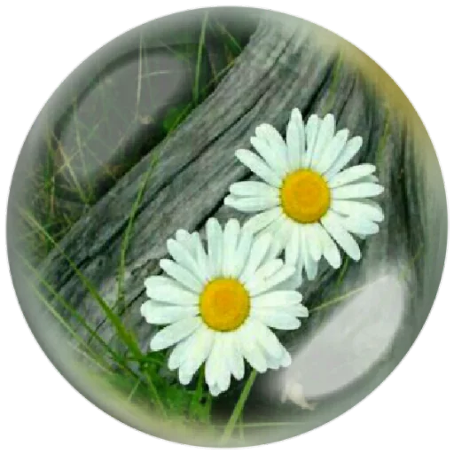 🌼 Стикер «autumnpoet» для Telegram