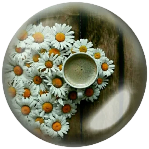 💐 Стикер «autumnpoet» для Telegram