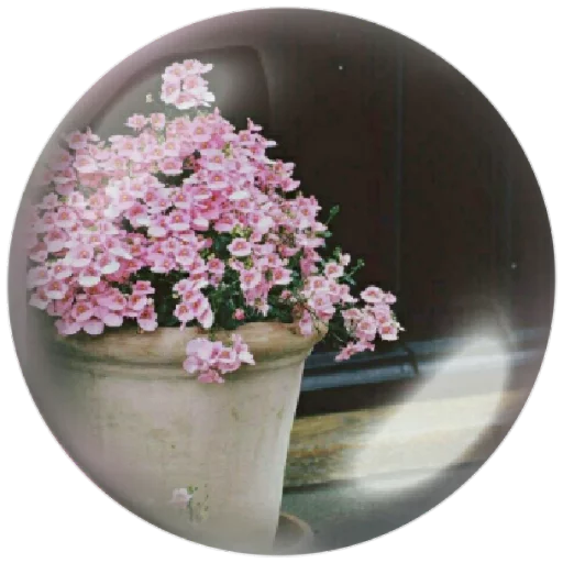🌸 Стикер «autumnpoet» для Telegram