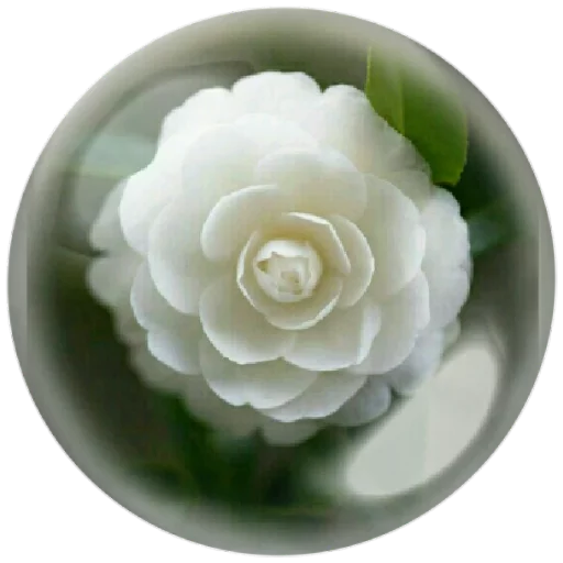 🌸 Стикер «autumnpoet» для Telegram