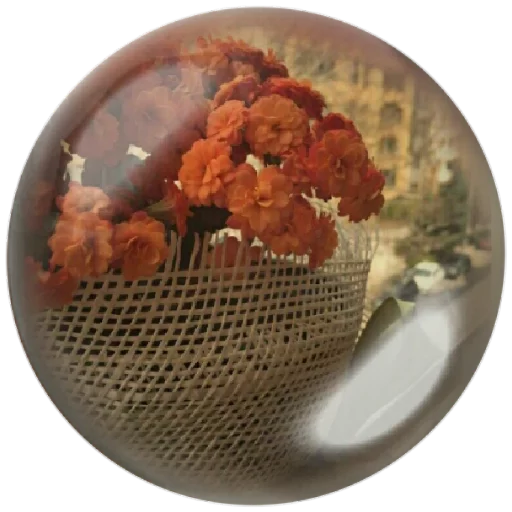 🍂 Стикер «autumnpoet» для Telegram