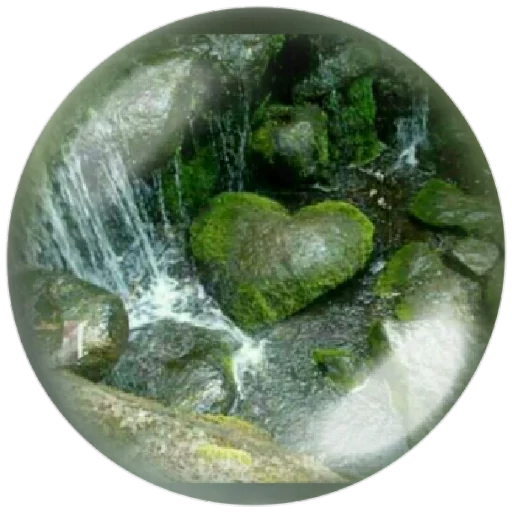🌊 Стикер «autumnpoet» для Telegram