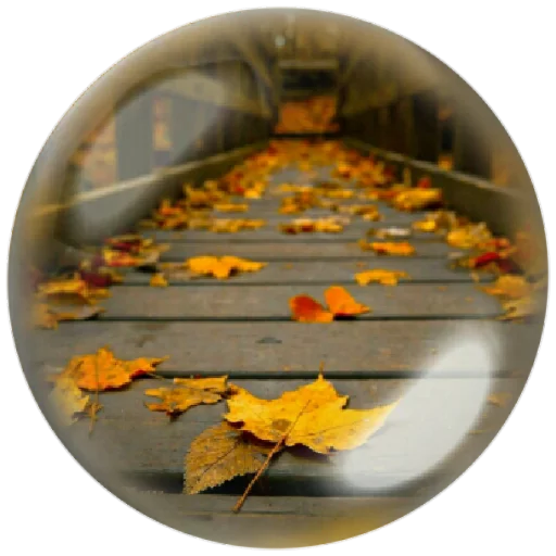 🍂 Стикер «autumnpoet» для Telegram