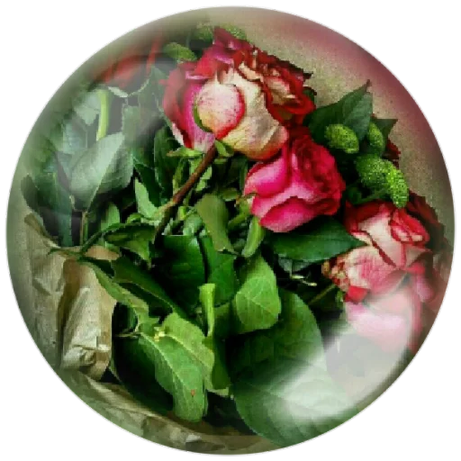 🌺 Стикер «autumnpoet» для Telegram