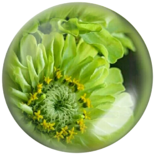 🥗 Стикер «autumnpoet» для Telegram