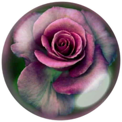 🌺 Стикер «autumnpoet» для Telegram