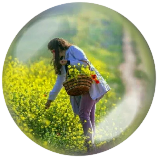 🌻 Стикер «autumnpoet» для Telegram