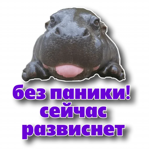 🤫 Стикер «Behemoth» для Telegram