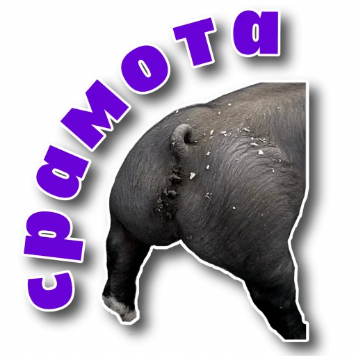 🤮 Стикер «Behemoth» для Telegram