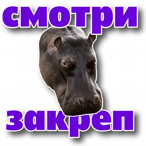 🤨 Стикер «Behemoth» для Telegram