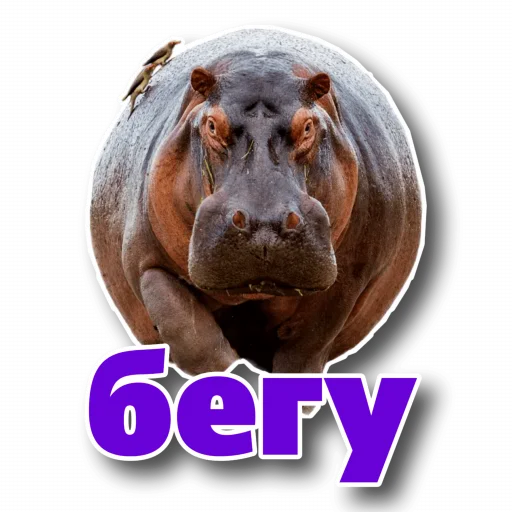🏃 Стикер «Behemoth» для Telegram