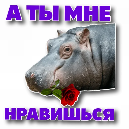 ❤️ Стикер «Behemoth» для Telegram